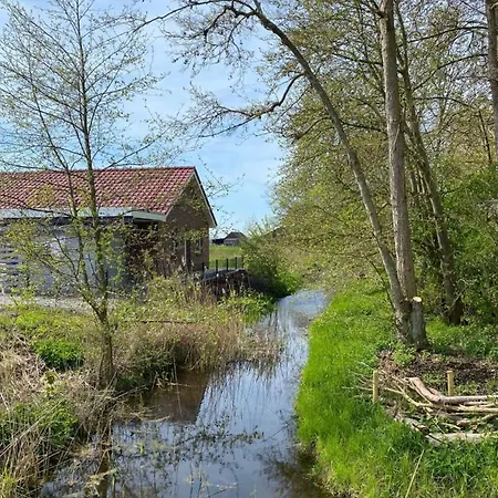 Ferienhaus Deichoase *